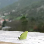 Taygetos Relaxing *